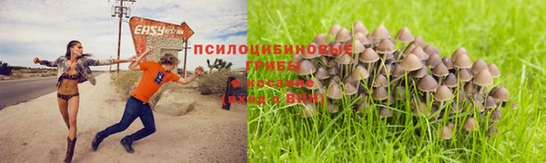 мяу мяу кристалл Армянск